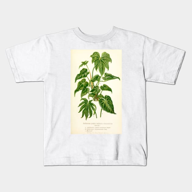 Anthurium hybrids - Botanical Illustration Kids T-Shirt by chimakingthings